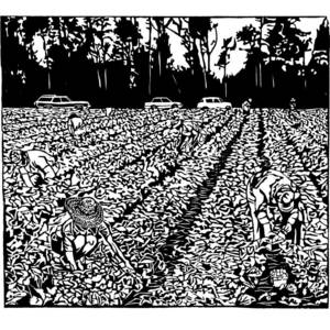 Strawberry Pickers.jpg